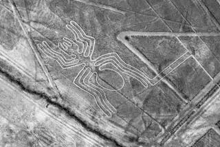 Nazca-Linien Spinne