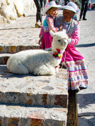 Alpaka