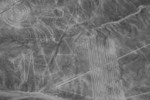 Nazca-Linien Affe